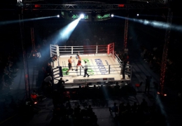boks Zlaticanin_2